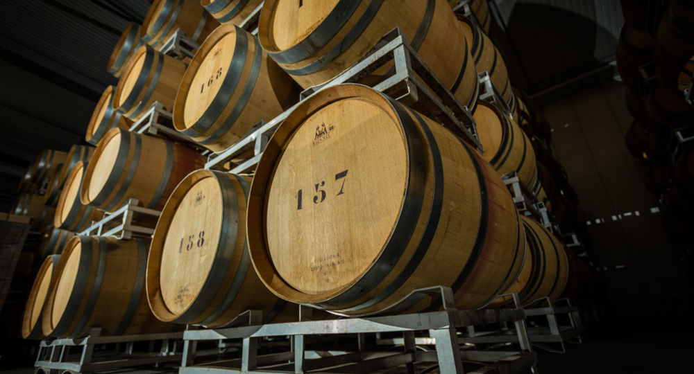 Balade commentée dans le vignoble et dégustation de vins_Bourdic