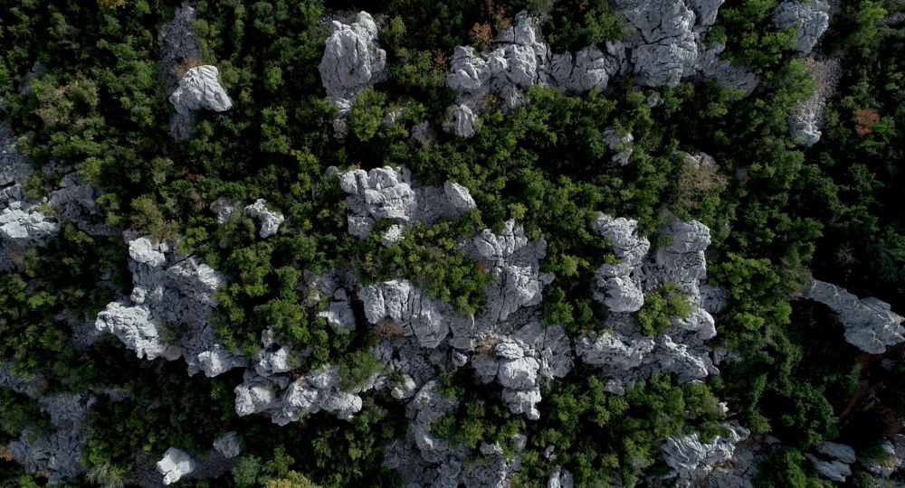 La mer des rochers - Le Merlet_Sauve