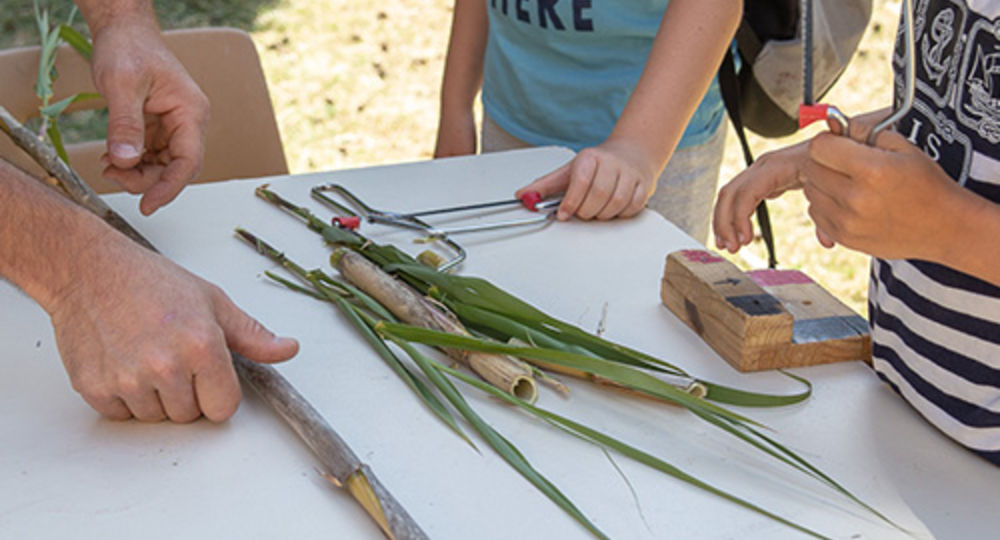 Atelier créatif : observation des petites bêtes étranges des jardins_Villeneuve-lez-Avignon