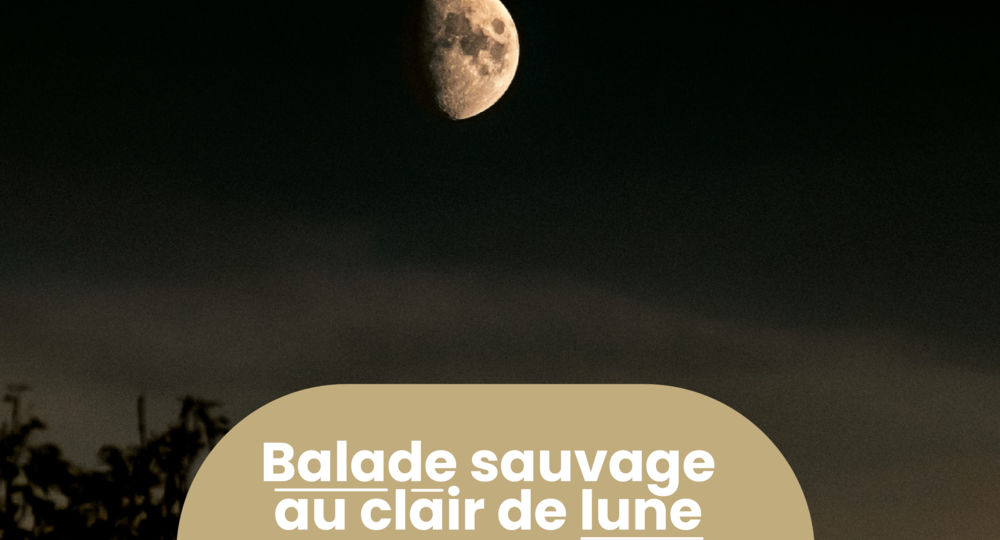 Rendez-vous Nature - Animations et balades gratuites à Dions