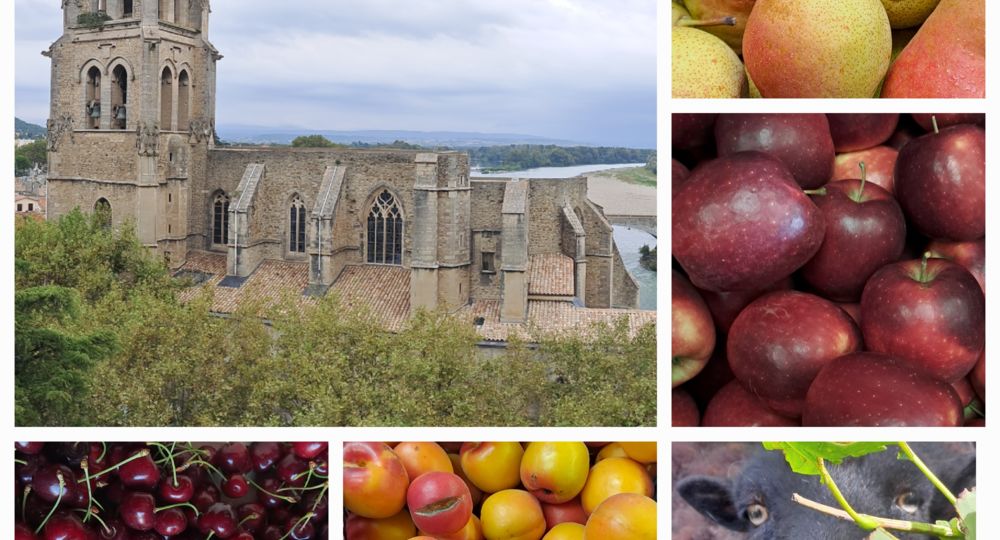 Fruits de saison
