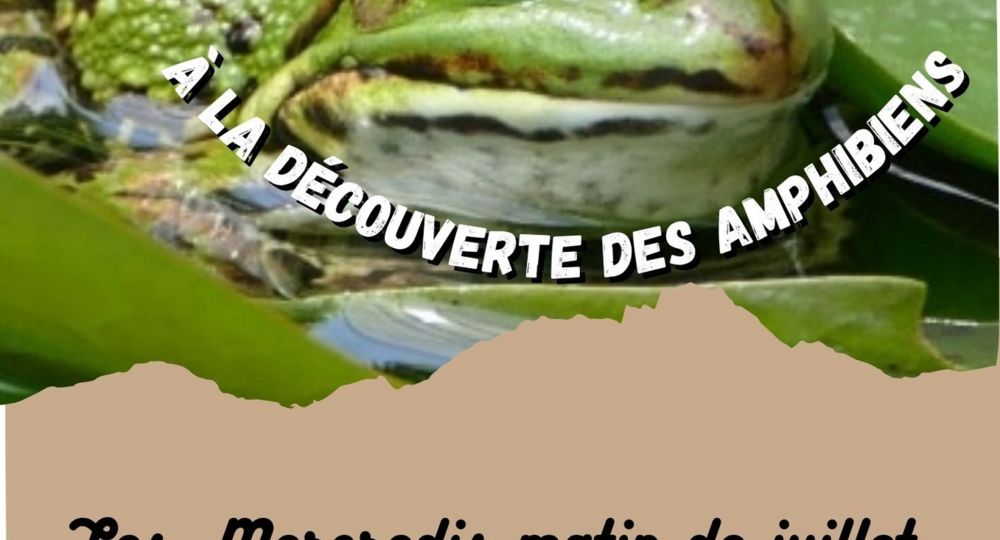 Sortie nature - A la découverte des amphibiens_Les Plantiers
