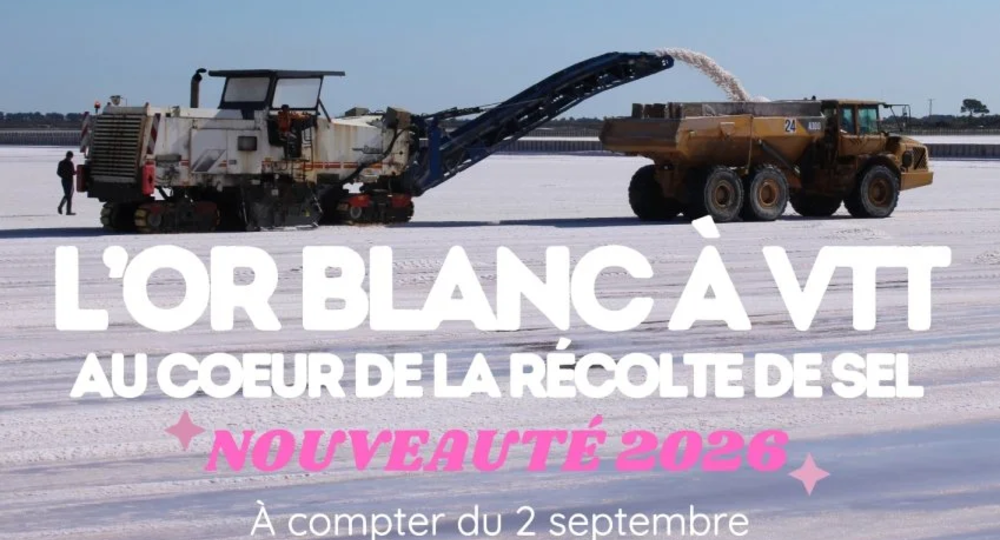 Visites guidées à vélo de la récolte du gros sel - Salin d’Aigues-Mortes_Aigues-Mortes