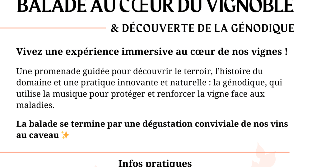 Balade guidée au cœur du vignoble - Domaine du Petit Chaumont_Aigues-Mortes