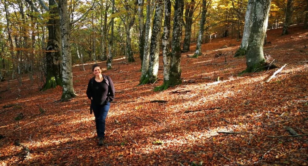 Escapade nature - Balade en forêt_Saint-André-de-Valborgne