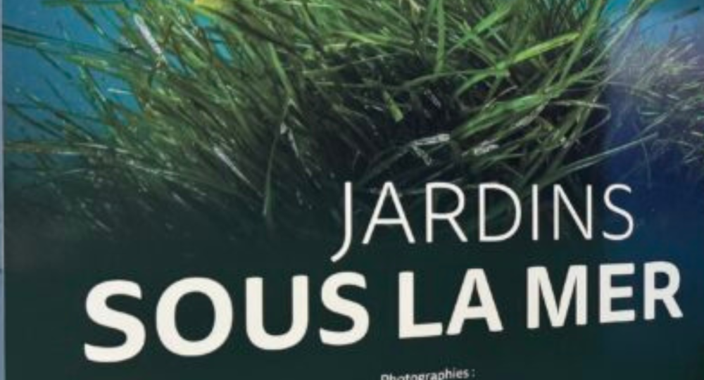 Exposition : Jardins sous les mers_Le Grau-du-Roi