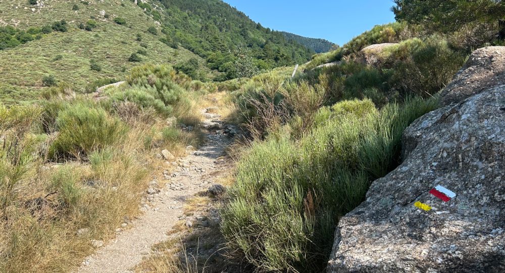 Randonnée : Col de Montclar_Génolhac
