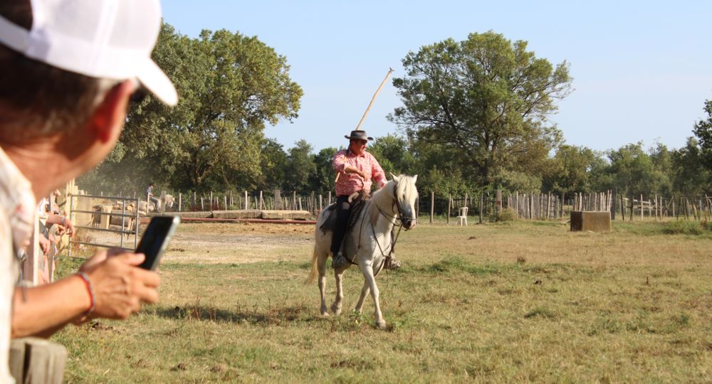 Veillées camarguaises - Manade Agnel_Le Cailar