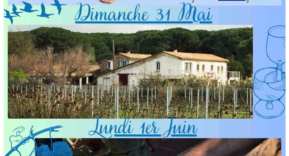 Biodiversité & Insularité au Domaine du Petit Saint-Jean