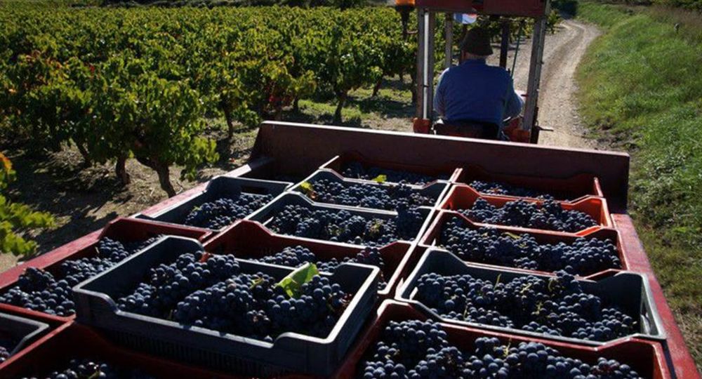 Domaine Grand'Terre
