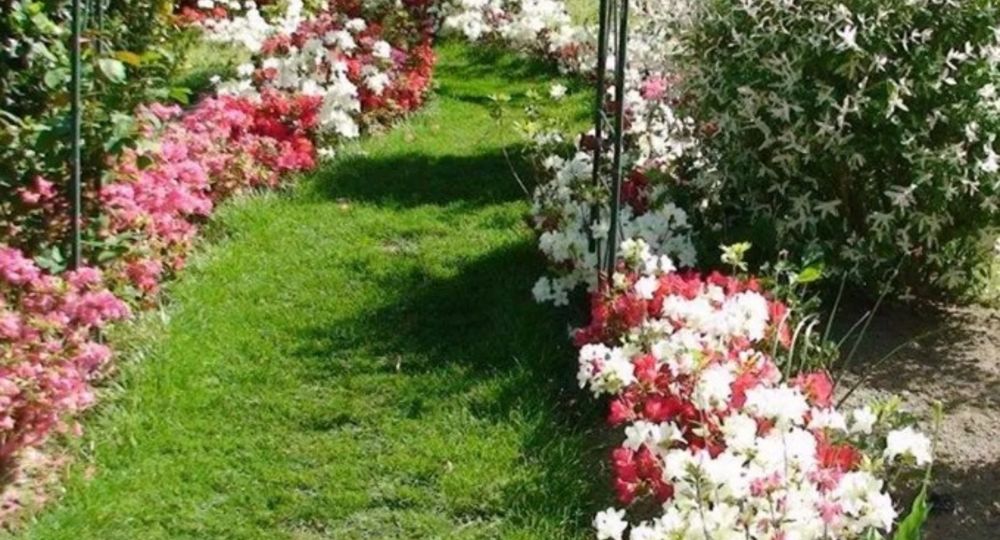 Parc des Camellias