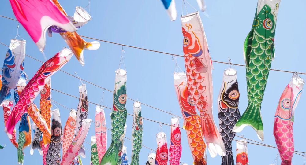 Exposition de koinobori