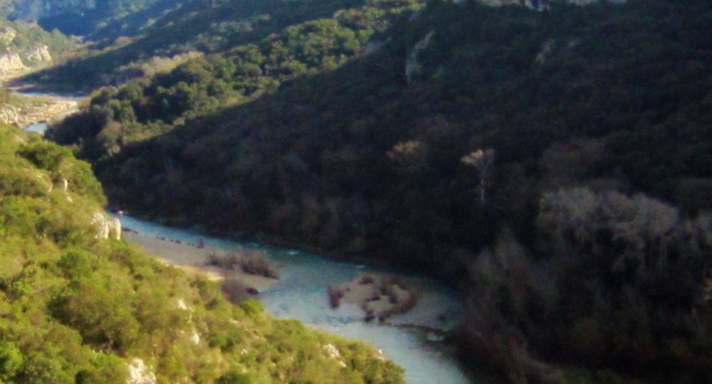 Balade à la découverte des plantes sauvages comestibles aux falaises du Castellas_Sainte-Anastasie