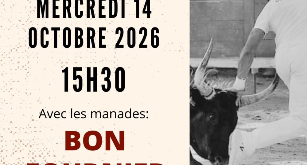 Course camarguaise - Ligue Occitanie_Montfrin