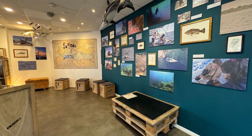 Exposition : Au fil de nos expéditions_Le Grau-du-Roi