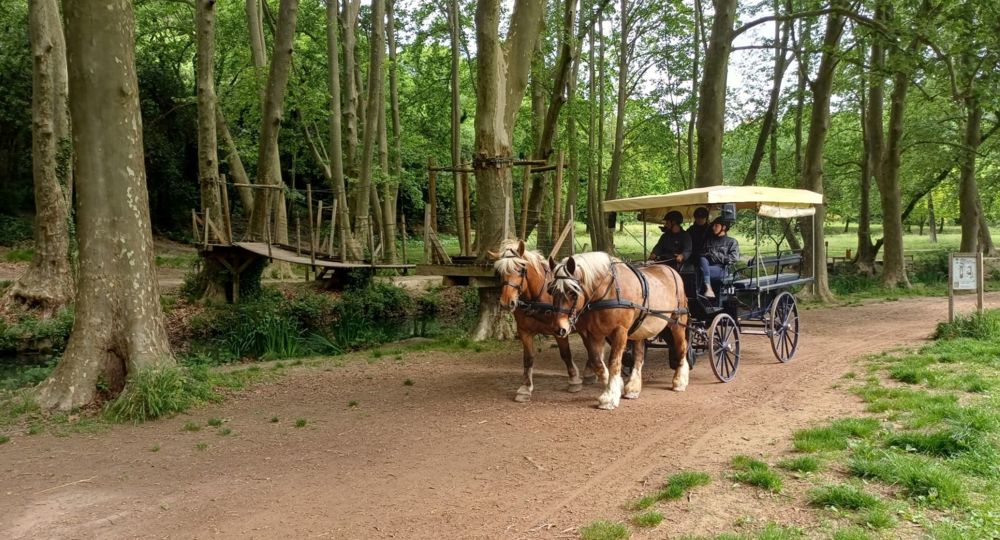Animation enfants – L’énergie cheval à l’assaut des écrans_Uzès