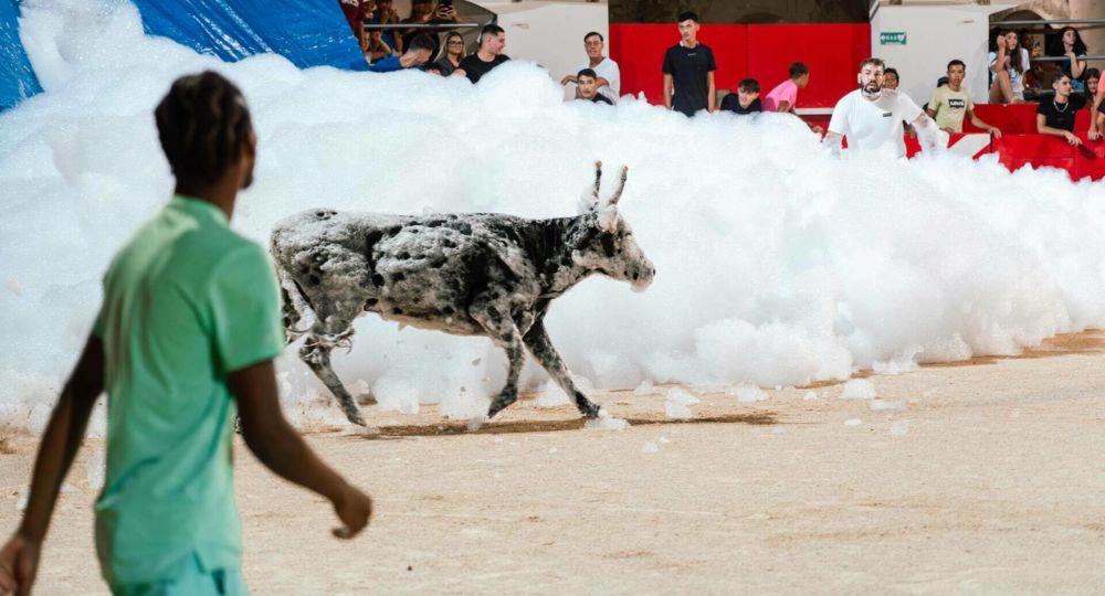 Toro mousse_Alès