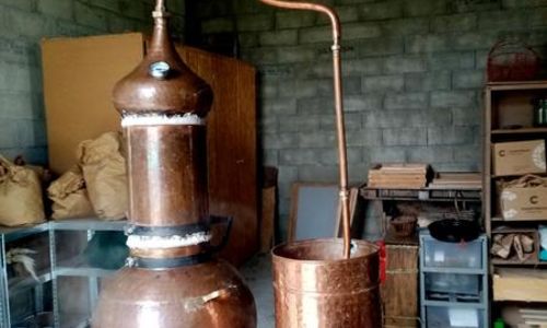 Fleur d'artisane : les tr&eacute;sors cach&eacute;s des plantes aromatiques - f&ecirc;te de la science, Sciences et saveurs en Gard Rhodanien