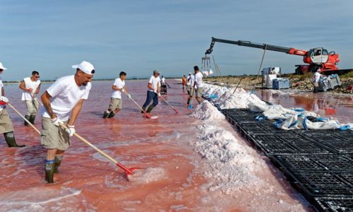 Visites de la r&eacute;colte de la fleur de sel - Salin d'Aigues-Mortes