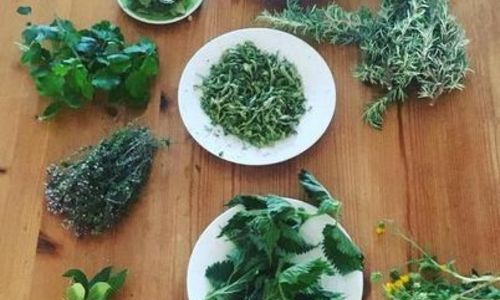 Atelier "Prendre soin de soi avec les plantes : initiation &agrave; la fabrication de mac&eacute;rats et d&rsquo;alcoolatures"