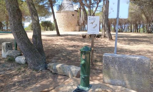 Aire de pique-nique de Pujaut