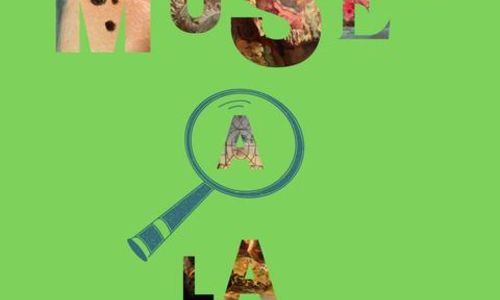 Le mus&eacute;e &agrave; la loupe, les d&eacute;tails en folie