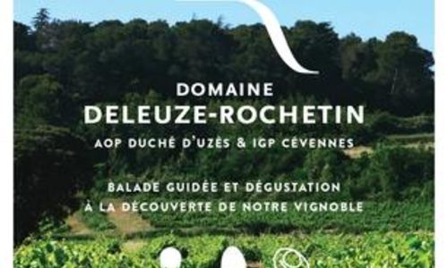 Balades Vigneronnes