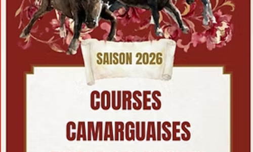 Course des vaches cocardi&egrave;res