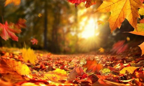 F&ecirc;te de l&rsquo;automne