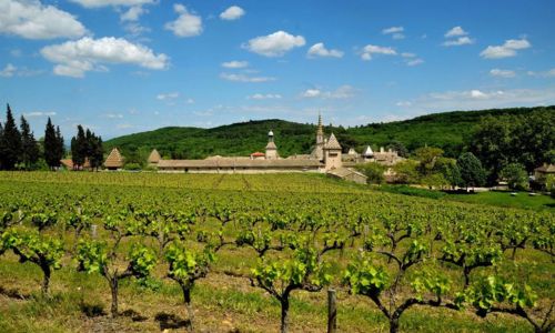 La Chartreuse de Valbonne