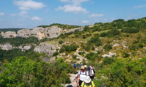 Balade insolite &agrave; la d&eacute;couverte des plantes sauvages comestibles &agrave; l&rsquo;ermitage de Collias