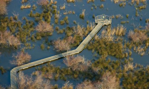La Camargue Gardoise