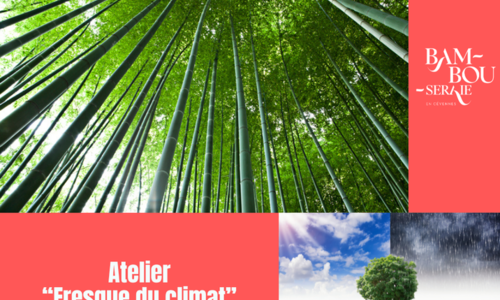 Atelier Fresque du Climat