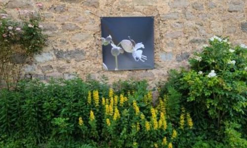 Lecture du Paysage Caussenard en V&eacute;lo