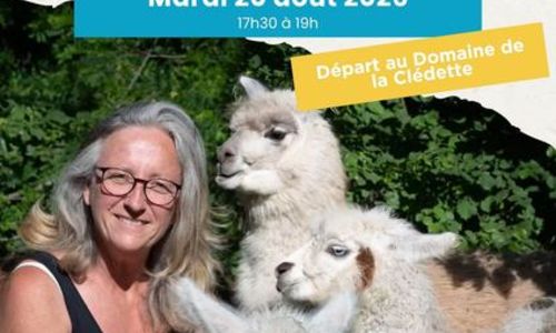 Balade avec des lamas