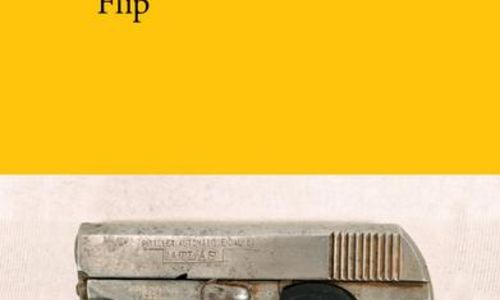 Rencontre auteur avec Jean-Jacques Salgon, "Flip"