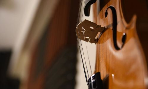 Fête de l'Alto 14ème Édition - Les Amidisis