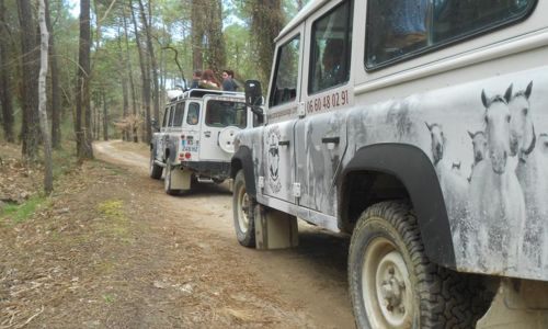 Journ&eacute;es europ&eacute;ennes du patrimoine - Camargue Sauvage Safari