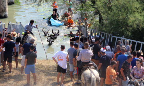 F&ecirc;te votive de Gallician
