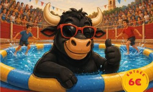 Toro piscine - Remoulins