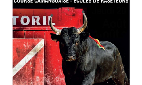 La nuit du taureau de Camargue