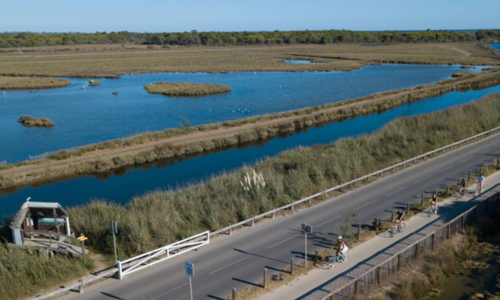 Voie verte de L'Espiguette