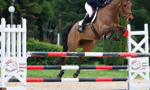 Concours Saut Obstacle - Amateur et Pro