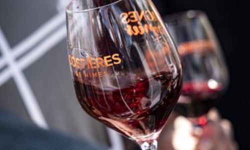 Visite gustative : D'eau & de vins
