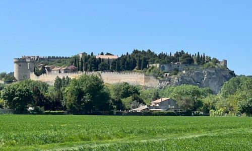 Heart of provence