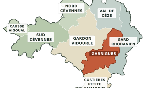 Massif forestier Garrigues - Zone de vigilance 306
