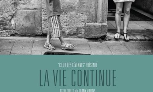 vignette