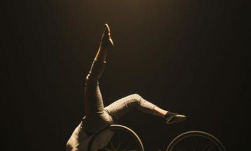 Cirque - La b&ecirc;te noire / Petite reine