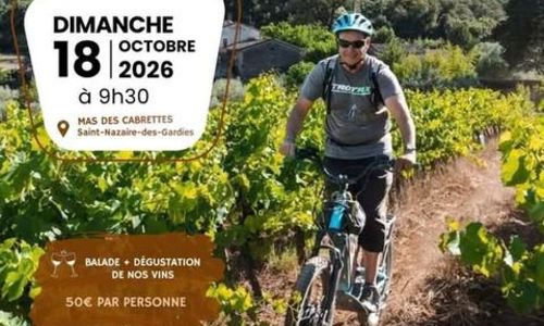 Vignobles en Sc&egrave;ne ! - Balade Vigneronne