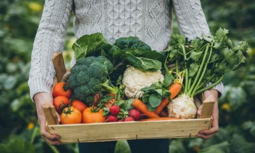 Atelier - Alimentation saine et gourmande